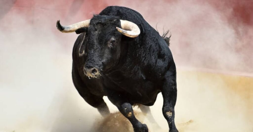 Strong Bull Names