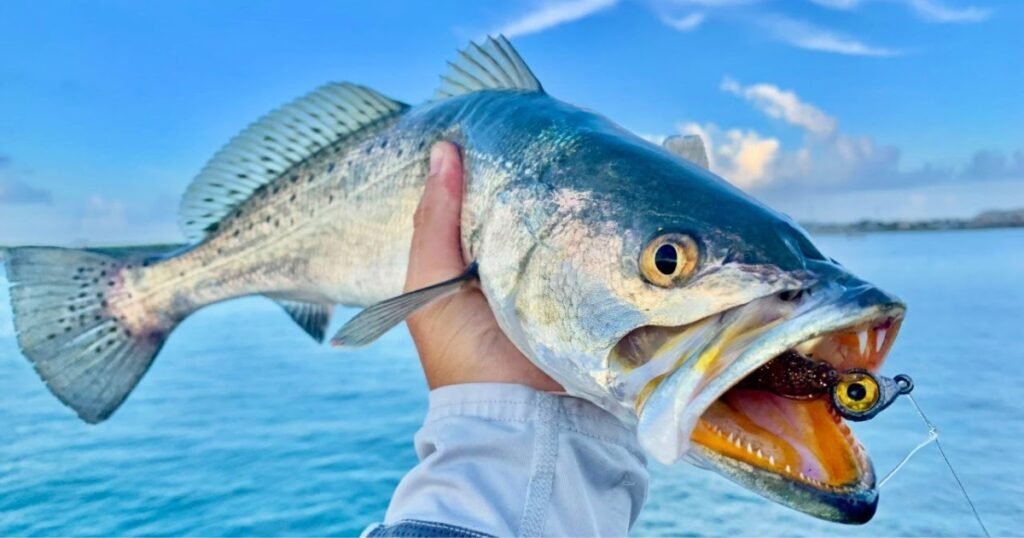 good fishing names
