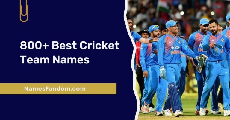 Best Cricket Team Names