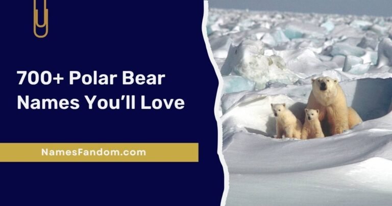 Polar Bear Names