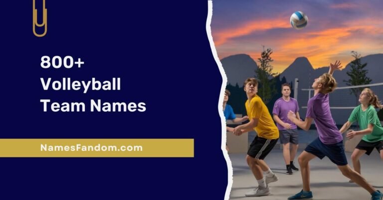 Volleyball Team Names