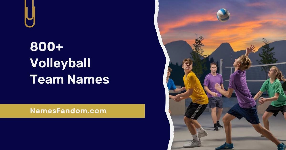 Volleyball Team Names