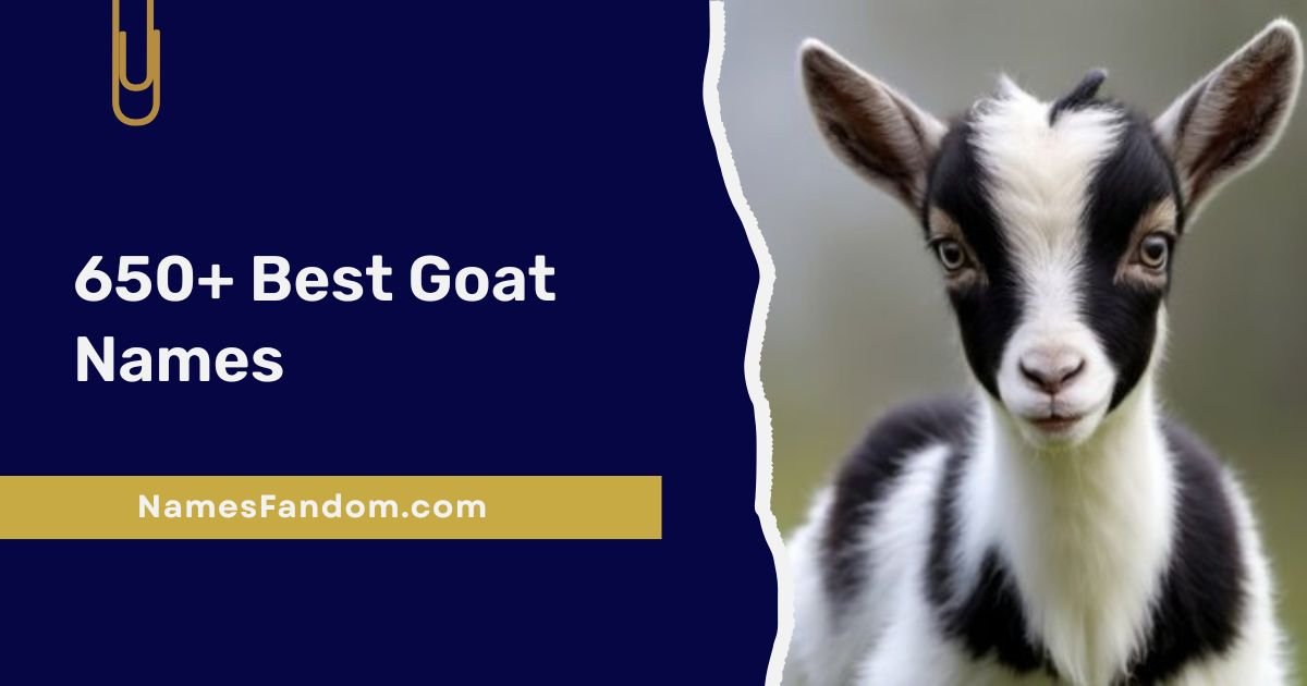 Best Goat Names