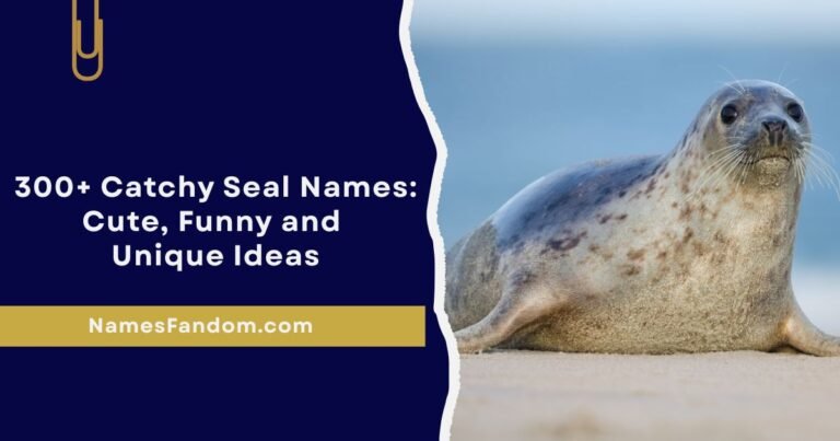 Catchy Seal Names