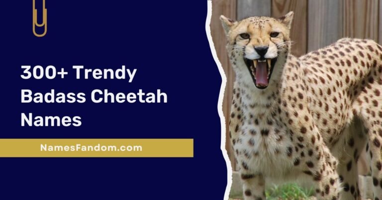 Cheetah Names