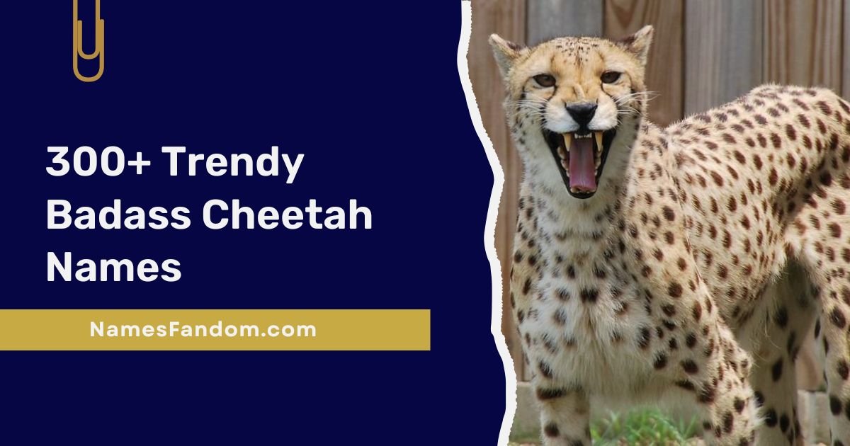 Cheetah Names