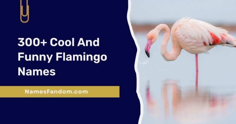 Cool And Funny Flamingo Names