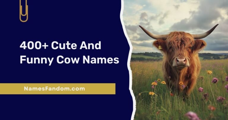 Cow Names