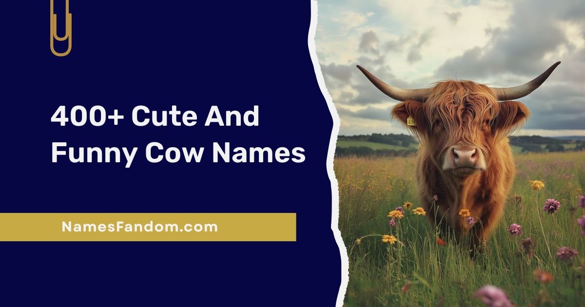 Cow Names