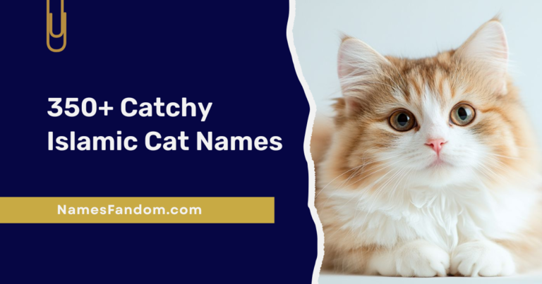 Islamic Cat Names