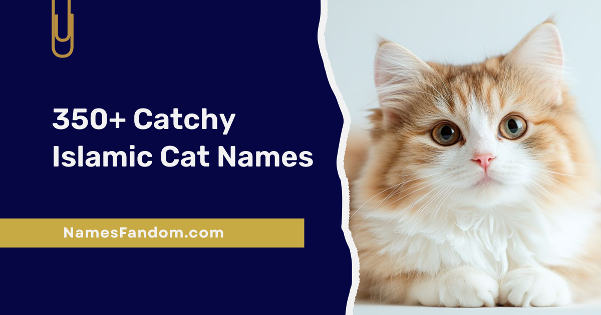 Islamic Cat Names