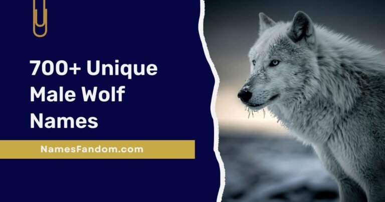 Male Wolf Names