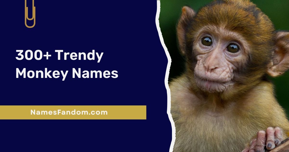 Monkey Names