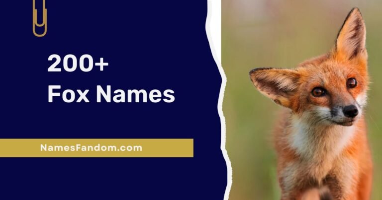fox names