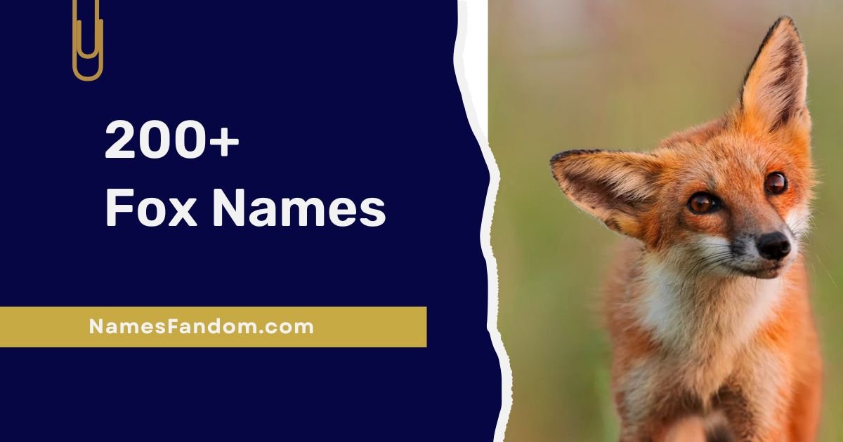 fox names