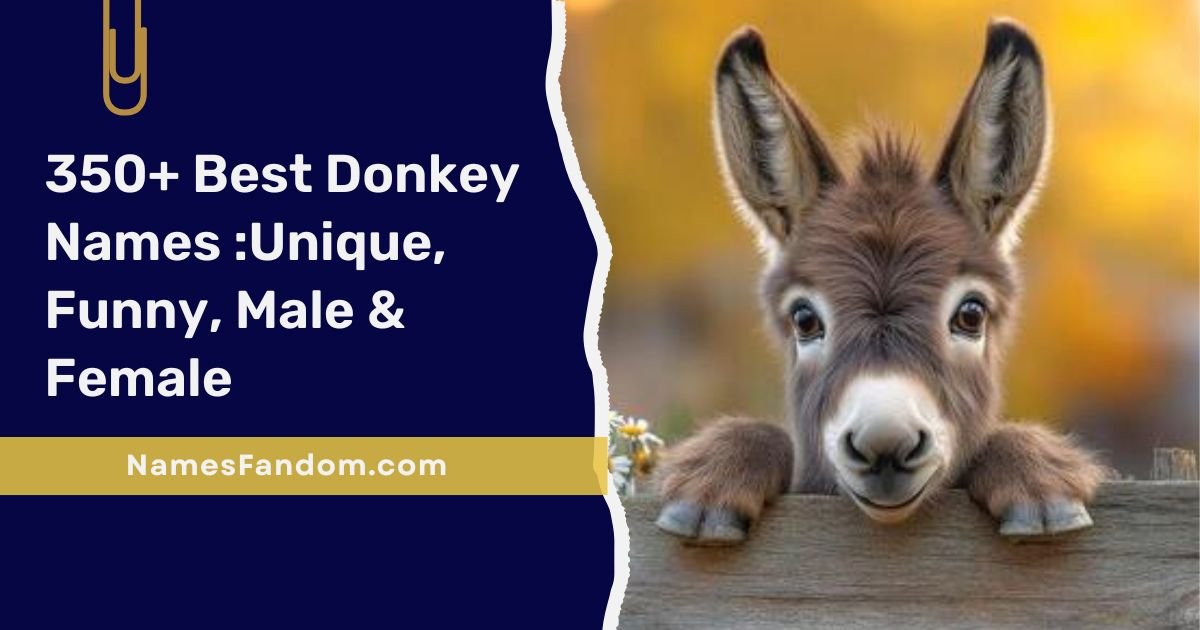 Best Donkey Names