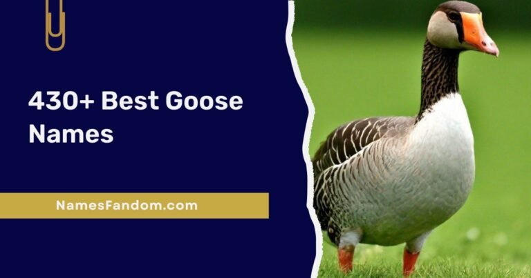 Best Goose Names