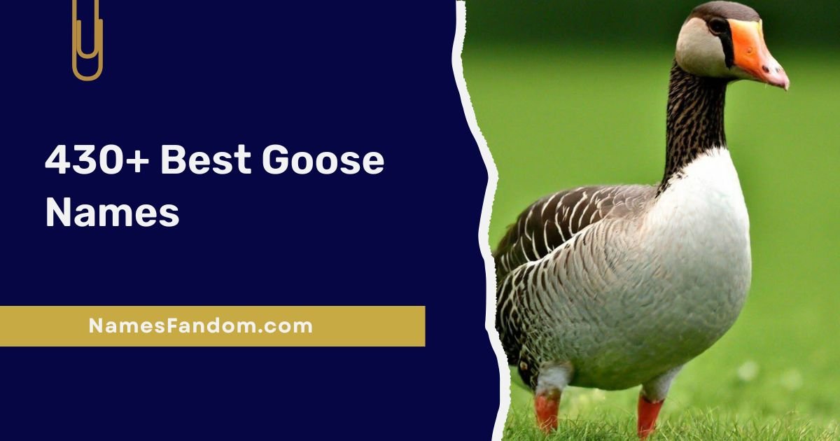 Best Goose Names