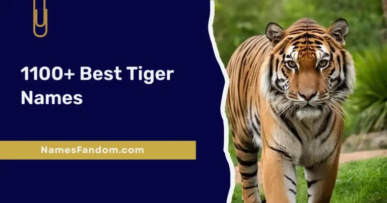 Best Tiger Names