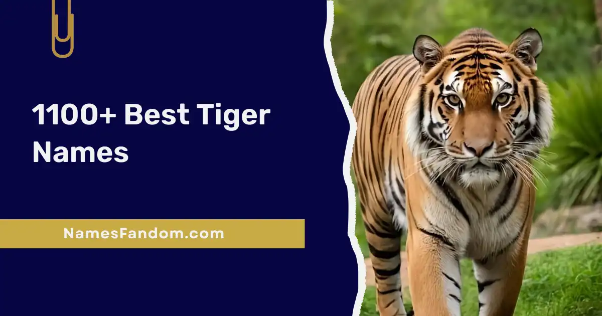 Best Tiger Names
