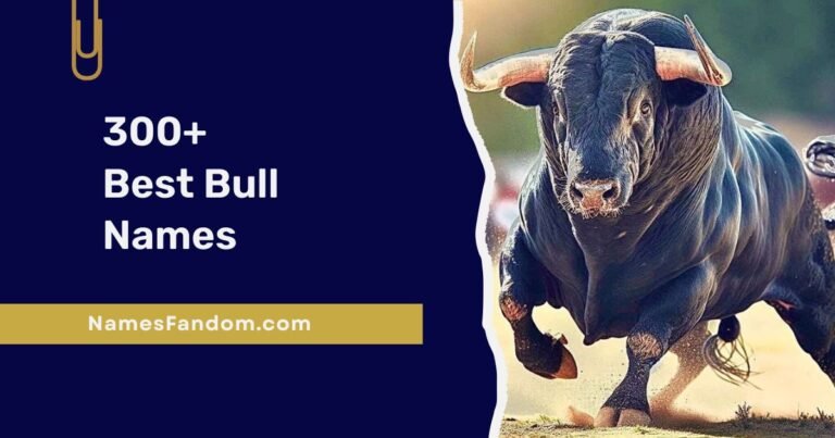 Bull Names
