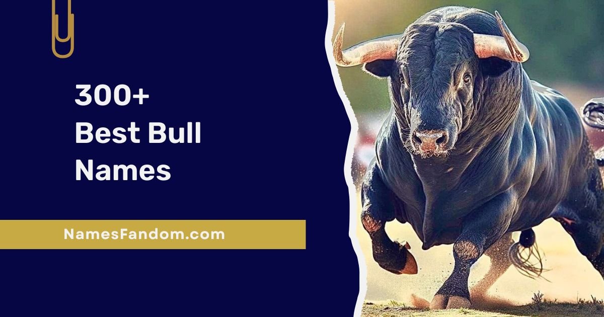 Bull Names