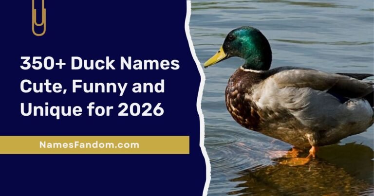 Duck Names