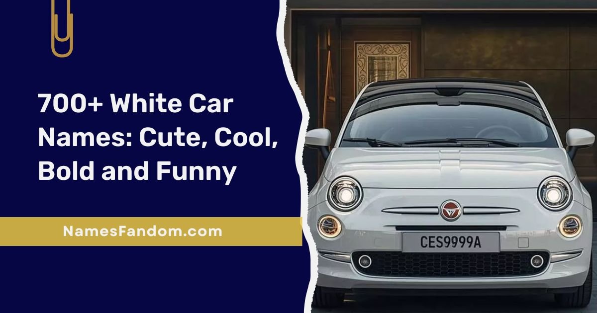 White Car Names
