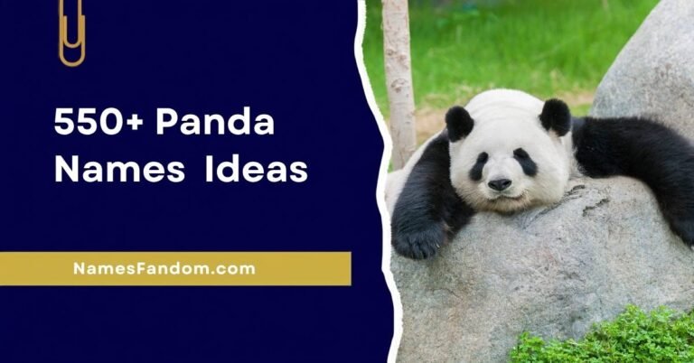 Panda Names 